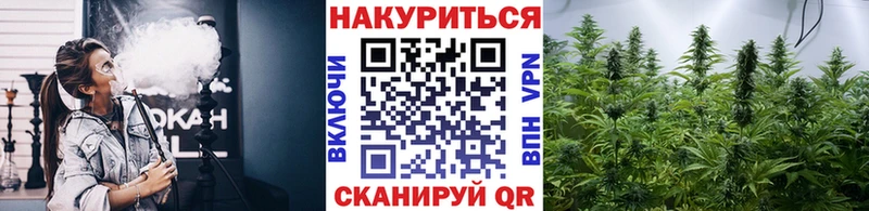 цены наркотик  Суровикино  Бошки марихуана Amnesia 